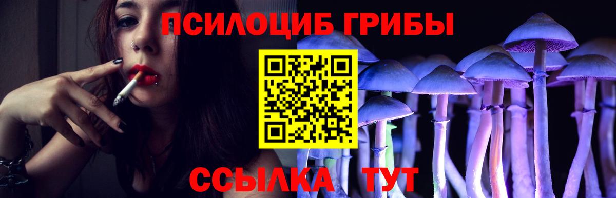 Псилоцибиновые грибы Psilocybine cubensis  Псилоцибиновые грибы прущие грибы  наркота  Вход с VPN  Ейск 